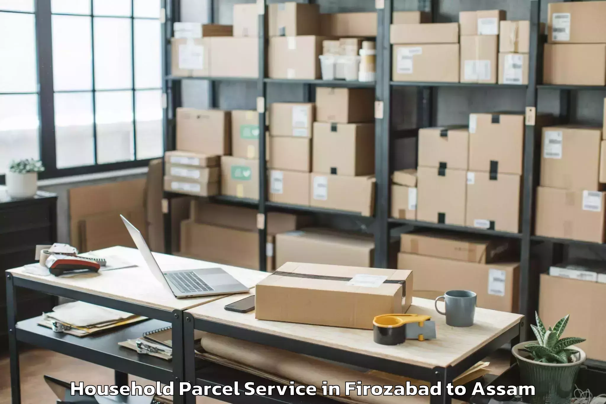 Top Firozabad to Tezpur University Household Parcel Available